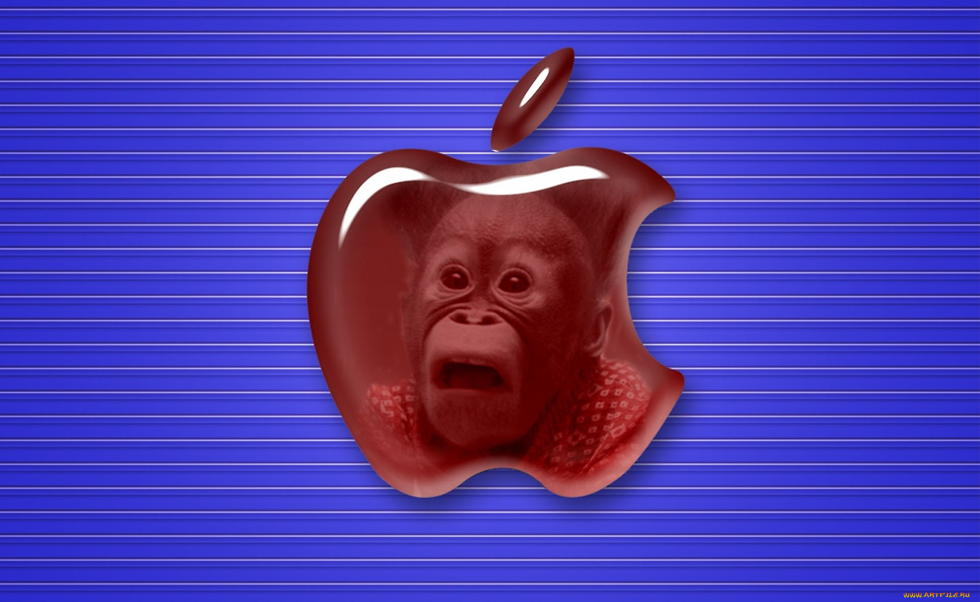 , apple